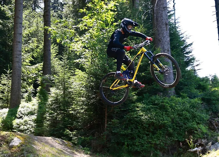 公寓 Czarna Gora Veraneo 西恩纳