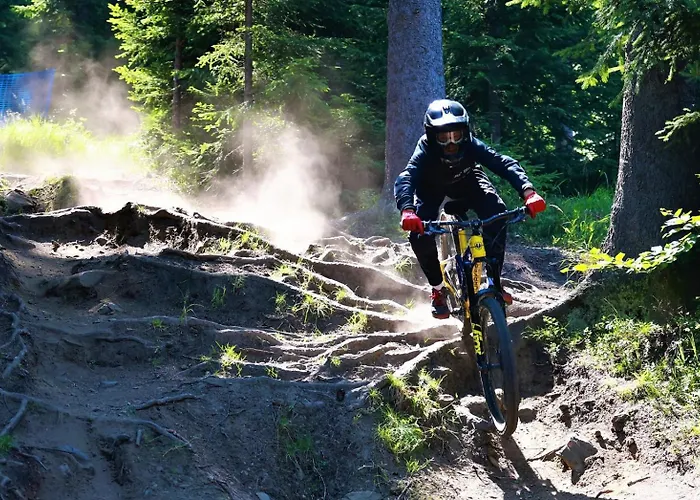 Czarna Gora Veraneo Sienna (Klodzko)